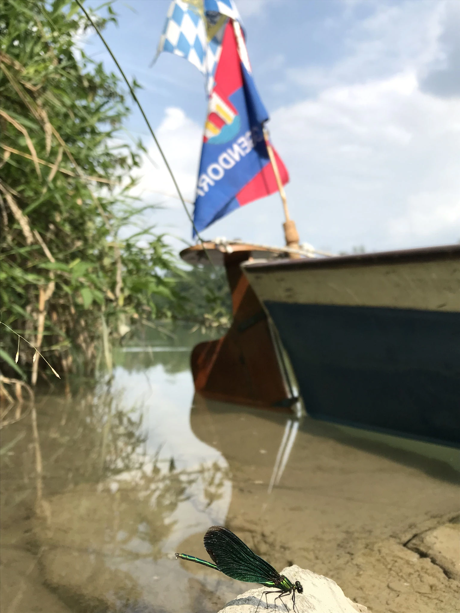 am Alzkanal