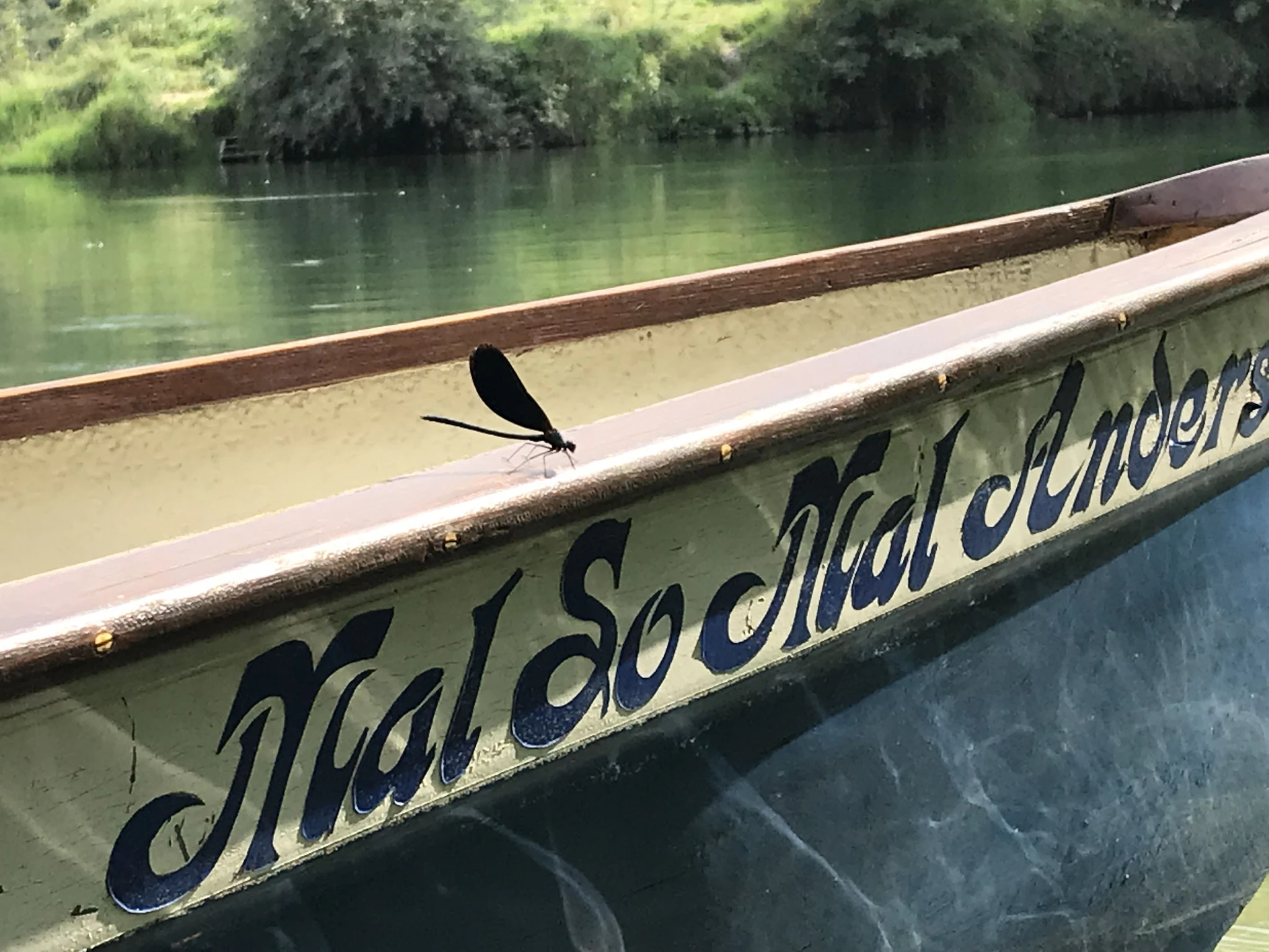 am Alzkanal
